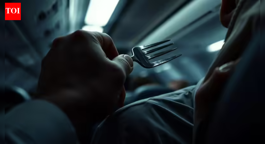 बीच उड़ान में दो किशोरों पर कांटे से वार करने वाले भारतीय छात्र पर बोस्टन में आरोप तय; 10 साल तक की सज़ा और 250,000 डॉलर का जुर्माना