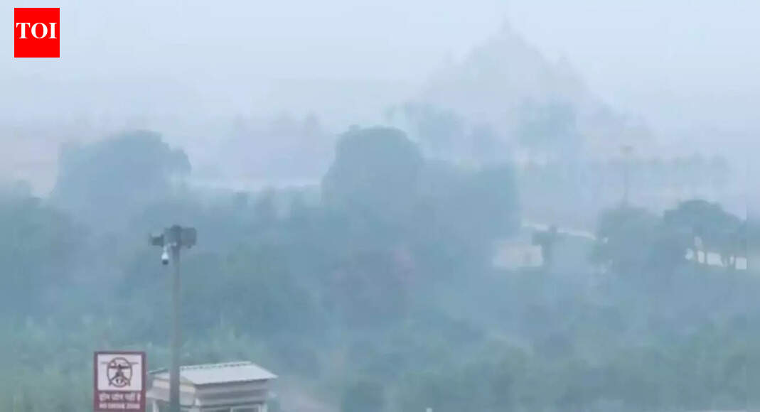 दिल्ली में जहरीला धुआं छाया: शहर की वायु गुणवत्ता ‘बहुत खराब’ बनी हुई है; कई क्षेत्रों में AQI 400 | से अधिक दर्ज किया गया है दिल्ली समाचार