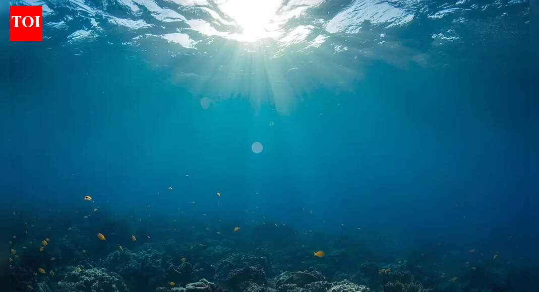 प्रशांत महासागर के नीचे रहस्यमयी संरचनाएँ: वैज्ञानिकों को समुद्र तल के नीचे जो मिला वह बदल सकता है पृथ्वी का इतिहास |