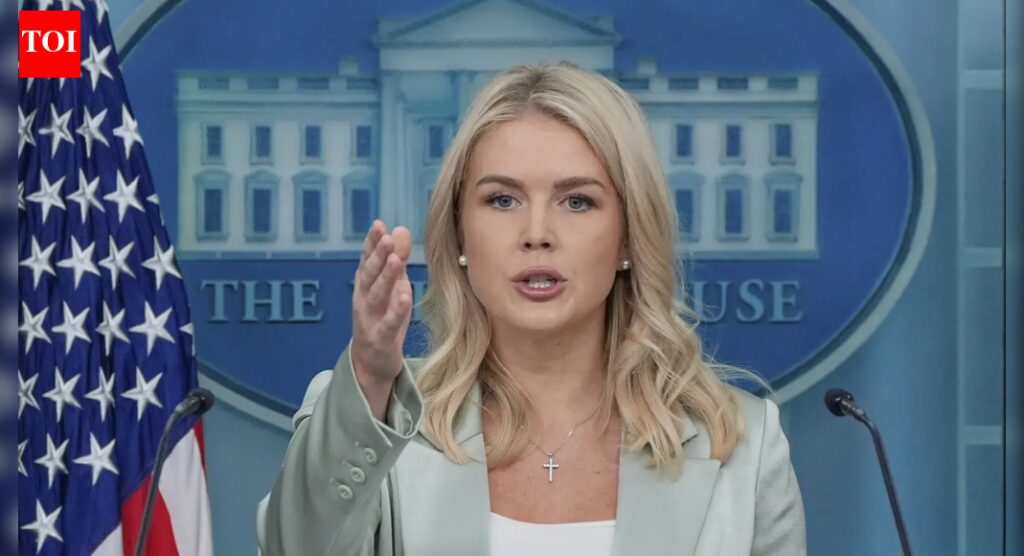 ‘ब्राज़ील से आए अवैध विदेशी’: कैरोलिन लेविट के रिश्तेदार को आईसीई ने हिरासत में लिया; ट्रम्प प्रशासन ने वीजा अवधि से अधिक समय तक रुकने पर निशाना साधा