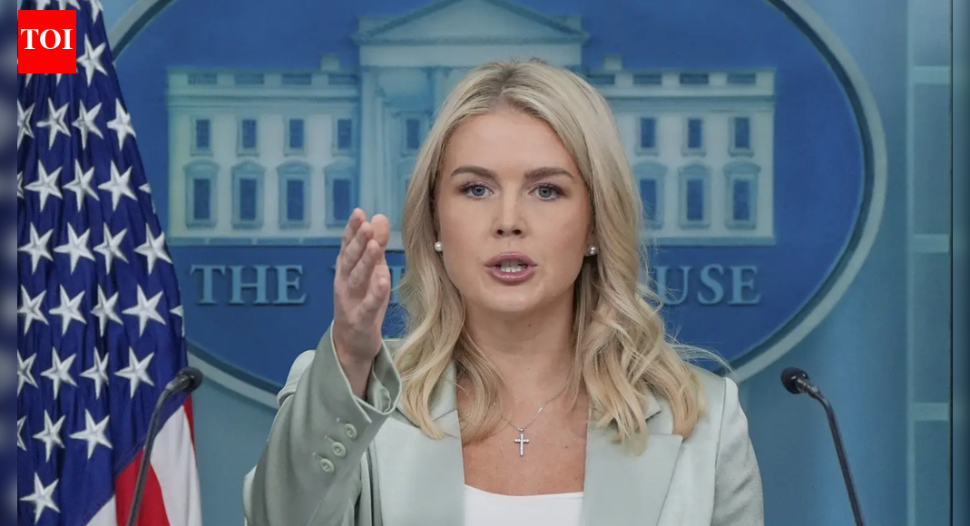 ‘ब्राज़ील से आए अवैध विदेशी’: कैरोलिन लेविट के रिश्तेदार को आईसीई ने हिरासत में लिया; ट्रम्प प्रशासन ने वीजा अवधि से अधिक समय तक रुकने पर निशाना साधा