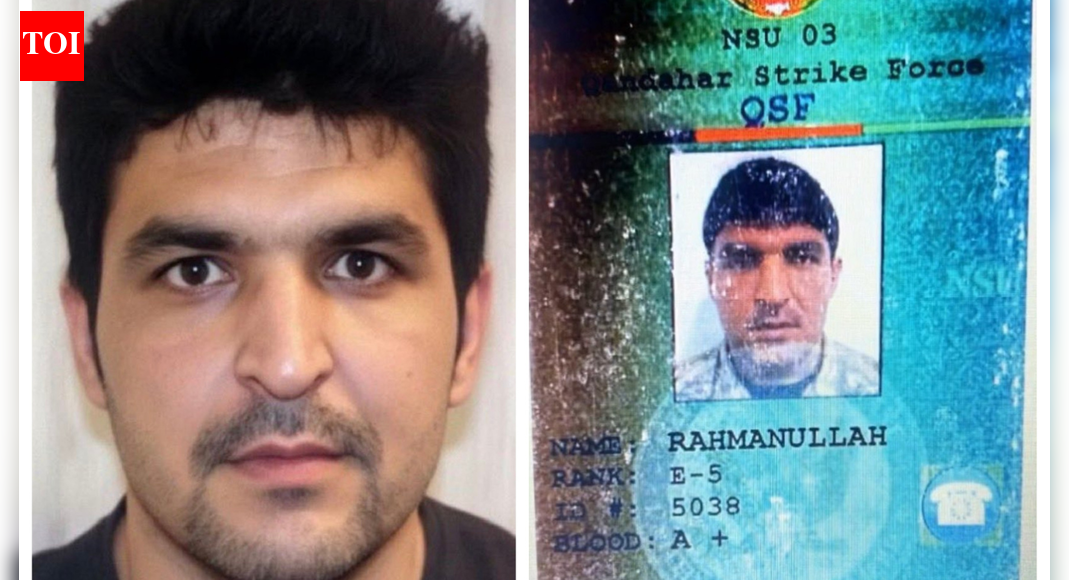 ‘लोगों ने मुझे 2021 में नस्लवादी कहा’: व्हाइट हाउस के शूटर रहमानुल्ला लाकनवाल को अमेरिका में अनुमति देने वाले विवाद के बीच जेडी वेंस ने प्रतिक्रिया दी