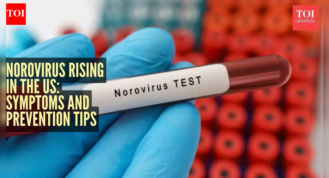 अमेरिका में नोरोवायरस के मामले बढ़े: जानें अर्थ, लक्षण, रोकथाम के उपाय और बहुत कुछ