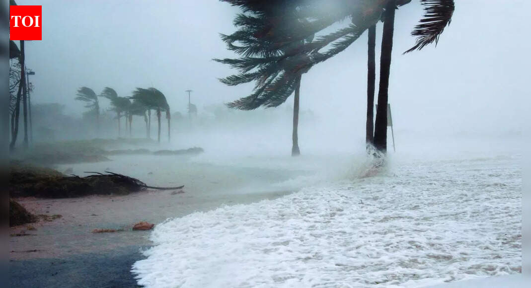 चक्रवात सेन्यार और दितवाह दक्षिणी भारत के कई राज्यों में भारी बारिश और हवाएँ लाते हैं; आईएमडी अपडेट |