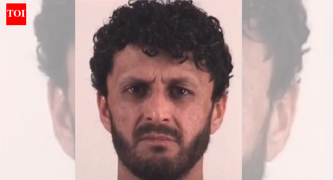 कौन हैं मोहम्मद दाऊद अलोकोज़े? बम बनाते हुए अपना टिकटॉक वीडियो पोस्ट करने पर अफगान नागरिक को गिरफ्तार किया गया