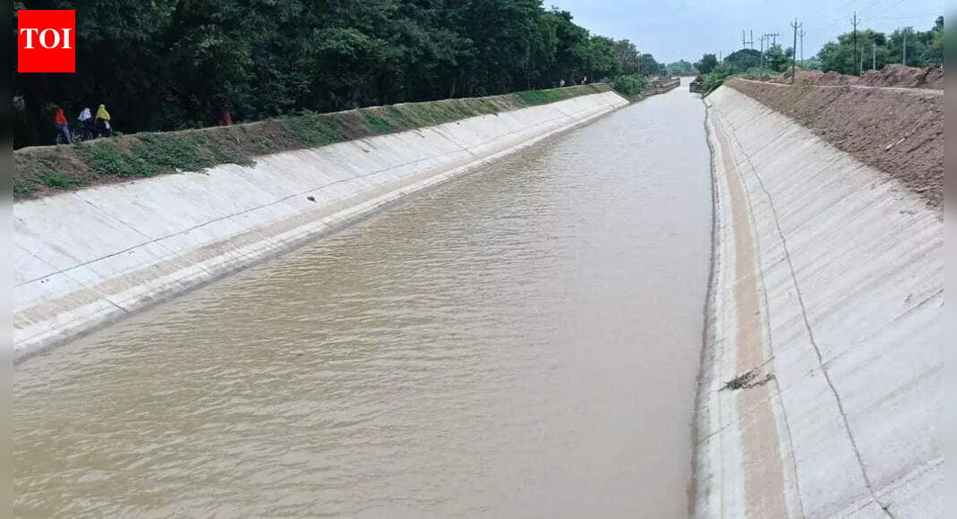 उत्तरी कोयल नहर परियोजना को मिली गति; दशकों की देरी के बाद किसानों को जल स्रोत की उम्मीद | पटना समाचार