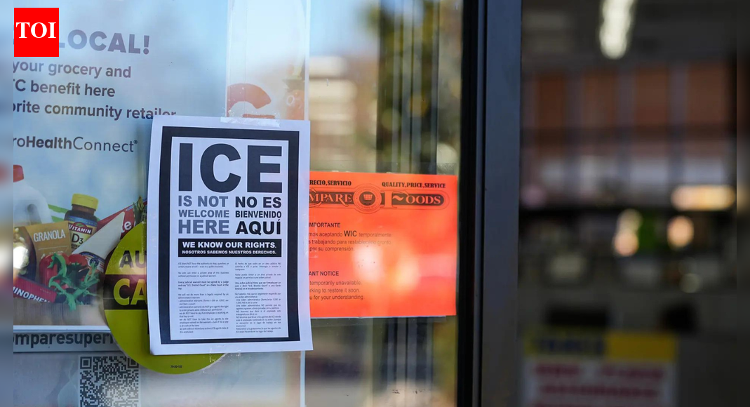 अमेरिकी आव्रजन वकील का कहना है कि आईसीई अपराधियों के पीछे नहीं जा रहा है, यह ‘उन लोगों को गिरफ्तार कर रहा है जो मेरे जैसे नहीं दिखते हैं’