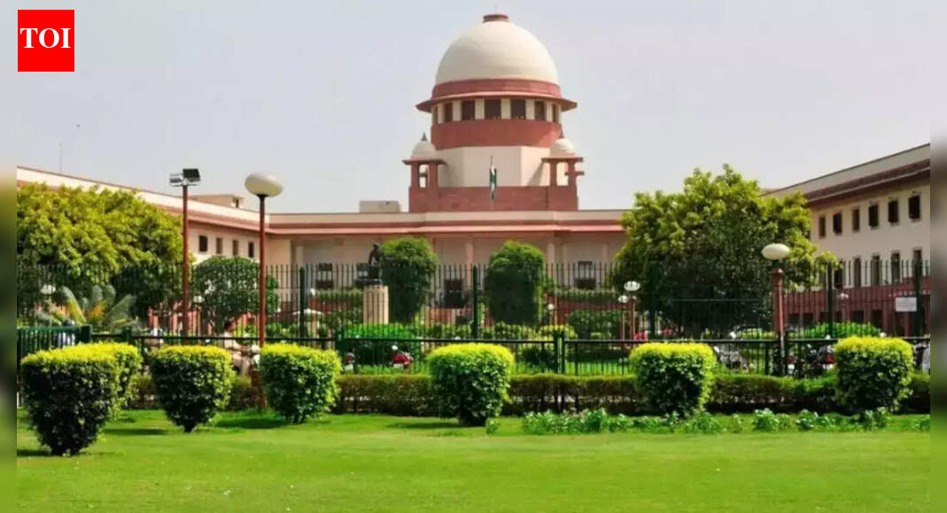 राज्यों में एसआईआर का काम ‘बाधा’: SC ने बीएलओ को धमकियों को गंभीरता से लिया; चुनाव आयोग से “स्थिति का सामना करने” का आह्वान | भारत समाचार
