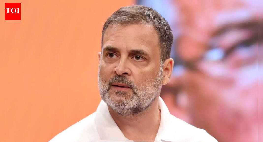 ‘विदेश नायक’: बीजेपी का ‘पर्यटन नेता’ राहुल गांधी पर हमला; 15 से 20 दिसंबर तक जर्मनी में रहेंगे कांग्रेस नेता | भारत समाचार