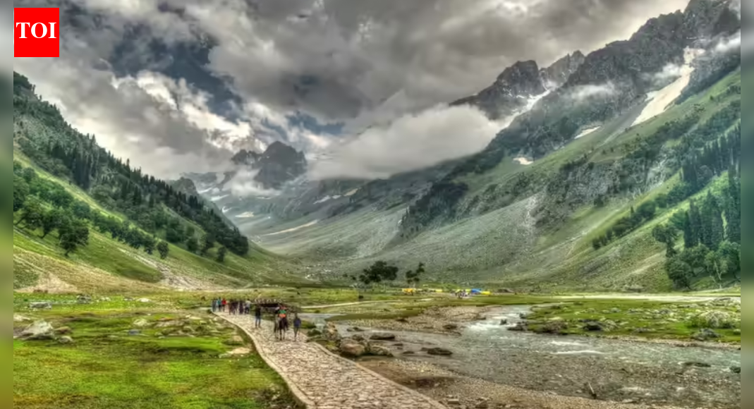 चीनी नागरिक को कश्मीर से वापस दिल्ली भेजा गया | भारत समाचार