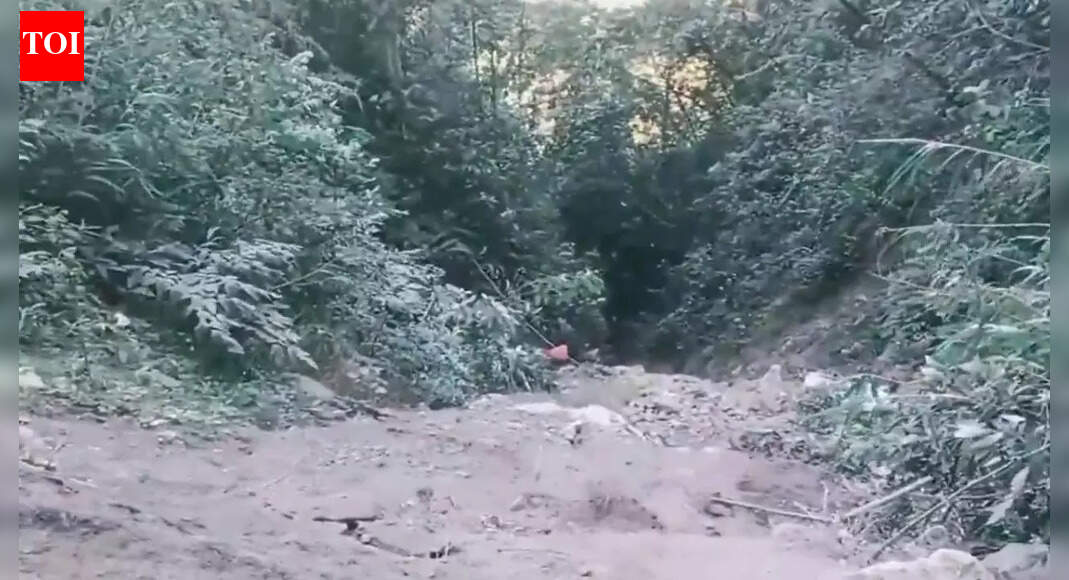 अरुणाचल घाटी त्रासदी में 22 लोगों के मरने की आशंका | भारत समाचार