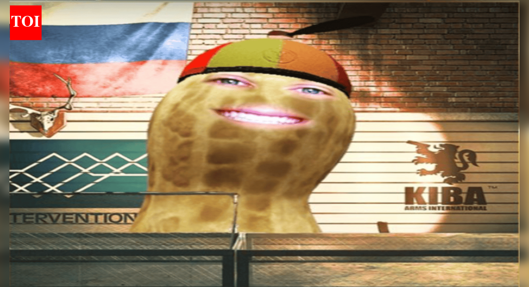 ‘मेरा समुदाय नहीं’: वीट्यूबर अवॉर्ड विवाद सामने आने पर दबर्नपीनट ने प्रशंसकों द्वारा आयरनमाउस पर हमला करने से इनकार किया