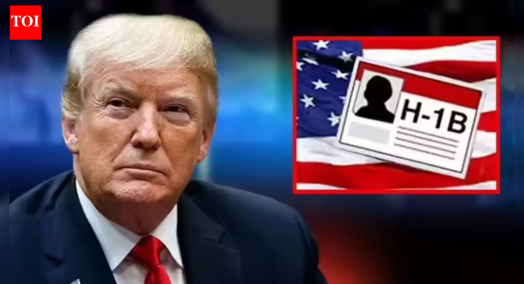 डेमोक्रेटिक स्टेट्स ने 0K+ H-1B शुल्क की मांग की, क्योंकि MAGA भारत में नौकरी की उड़ान को लेकर नाराज है