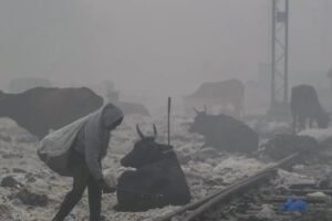 दिल्ली वायु प्रदूषण: AQI बढ़ने पर सिंगापुर, ब्रिटेन, कनाडा ने चेतावनी जारी की; यात्रियों को सावधान | भारत समाचार