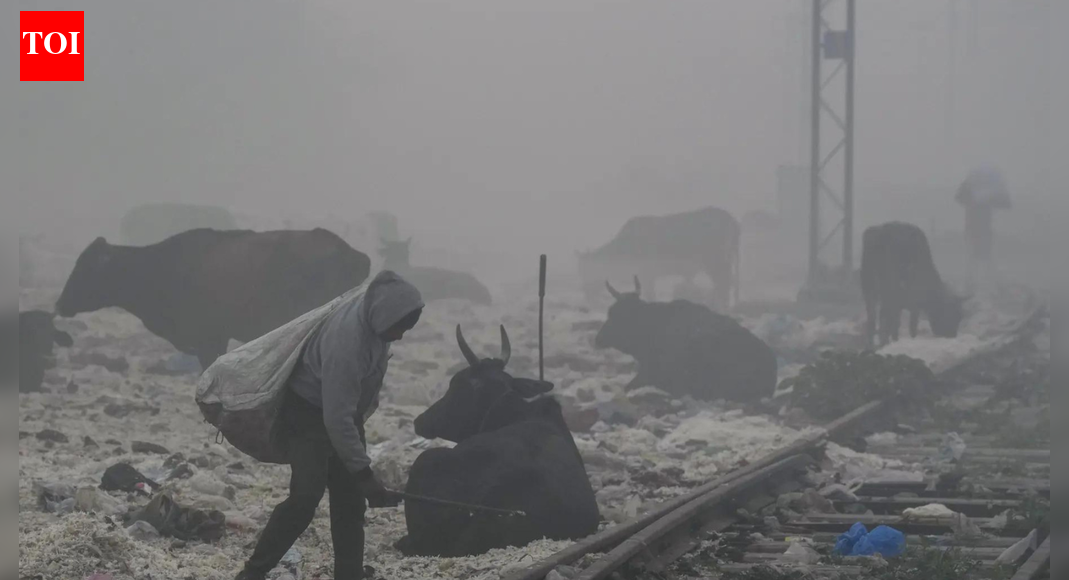 दिल्ली वायु प्रदूषण: AQI बढ़ने पर सिंगापुर, ब्रिटेन, कनाडा ने चेतावनी जारी की; यात्रियों को सावधान | भारत समाचार