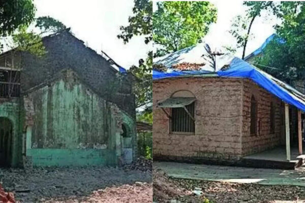 जब अस्पताल अपने पेड़ खो देते हैं तो क्या खो जाता है | भारत समाचार