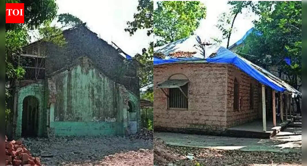 जब अस्पताल अपने पेड़ खो देते हैं तो क्या खो जाता है | भारत समाचार