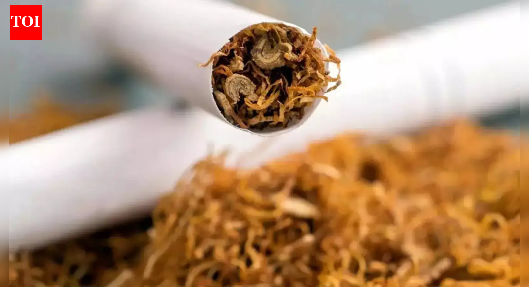 ‘गोगो पेपर’ पर प्रतिबंध: गुजरात ने रोलिंग पेपर और प्री-रोल्ड कोन की बिक्री पर प्रतिबंध लगाया; युवा व्यसन उद्धरण | भारत समाचार