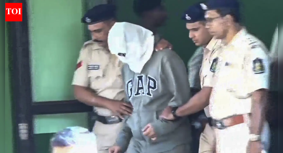 नाइट क्लब में आग: उत्तरी गोवा अदालत ने लूथरा बंधुओं की नए सिरे से चिकित्सा जांच का आदेश दिया; एक भाई ने पहले सीने में दर्द की सूचना दी थी | भारत समाचार