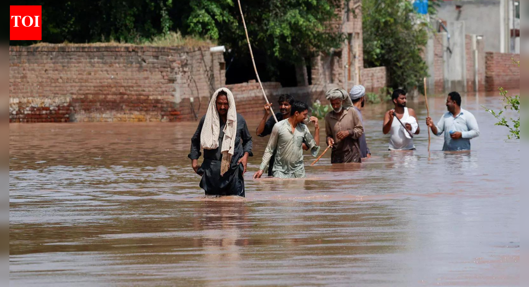 पाकिस्तान में सर्दी की बारिश से अफरा-तफरी: बलूचिस्तान में हादसे में दो महिलाओं की मौत; शहर ऊर्जा संकट से जूझ रहे हैं.