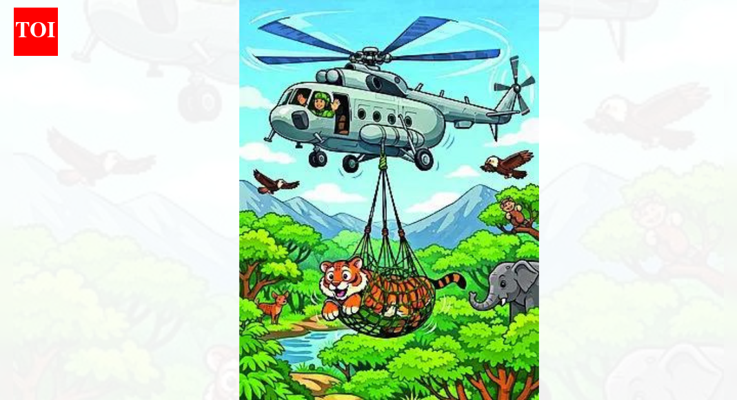 भारतीय वायुसेना ने बाघिन को पेंच से रामगढ़ विषधारी तक एयरलिफ्ट किया। भारत समाचार