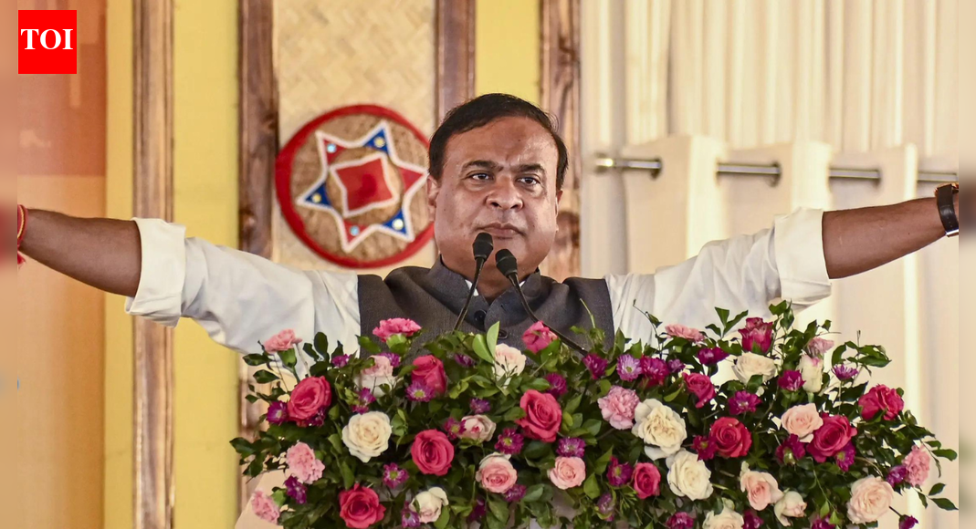 असम पुलिस और बीएसएफ ने 19 अवैध लोगों को बांग्लादेश भेजा | भारत समाचार