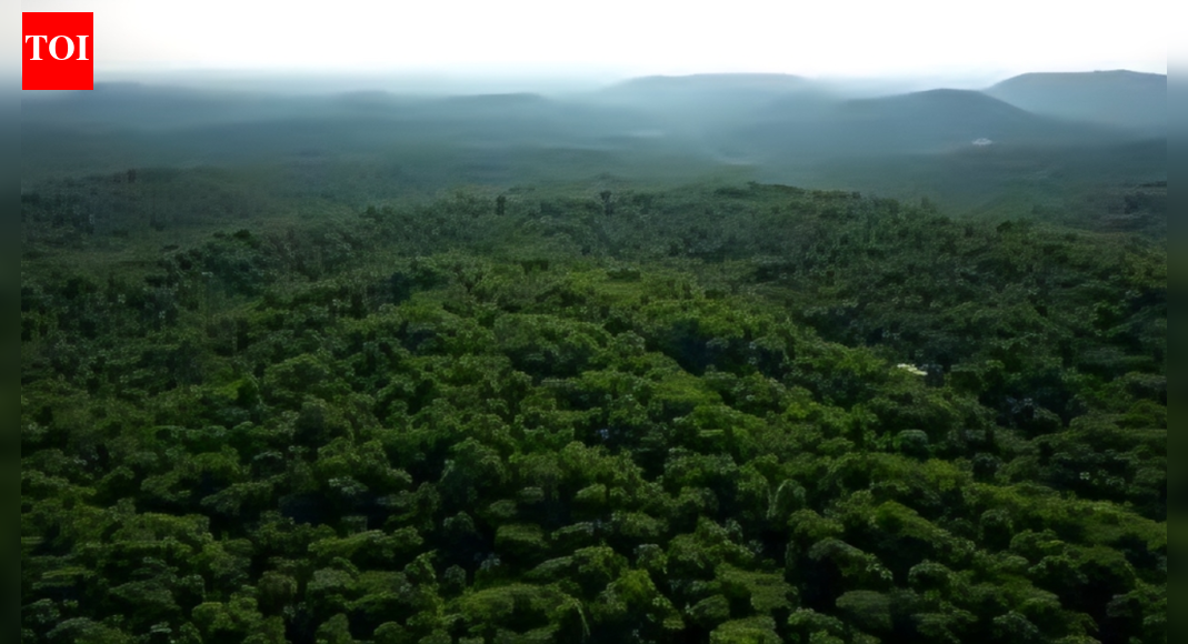 उत्तराखंड वन भूमि कब्ज़ा का मूकदर्शक है: सुप्रीम कोर्ट | भारत समाचार