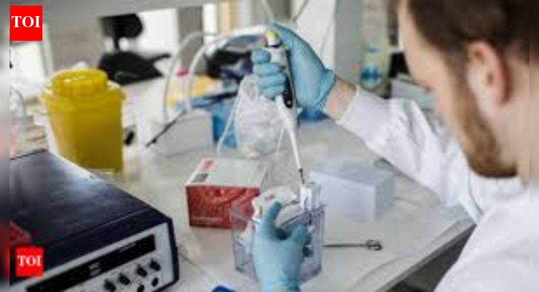 आईआईटी और एक ऑस्ट्रेलियाई विश्वविद्यालय ने स्तन कैंसर के लिए नैनोटेक दवा वितरण विकसित किया | भारत समाचार