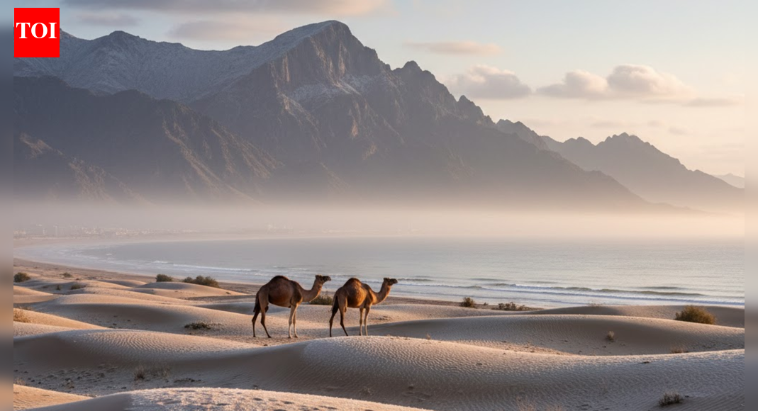 यूएई मौसम: सर्दी शुरू, एनसीएम ने ठंडी रातों और कभी-कभार बारिश की चेतावनी दी | विश्व समाचार