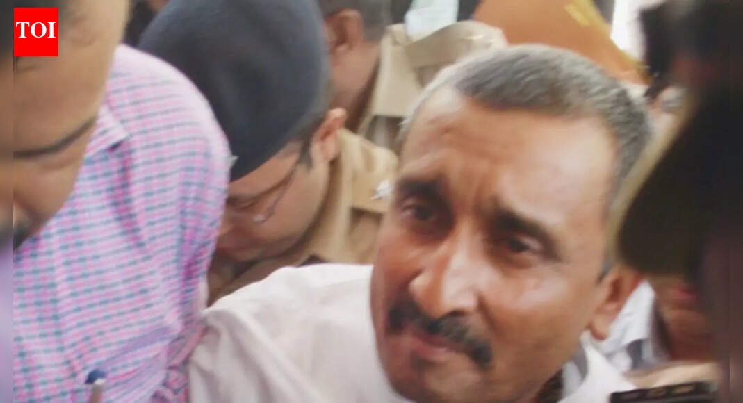 ‘मैं आत्महत्या करना चाहती थी’: उन्नाव रेप पीड़िता ने इंडिया गेट पर कुलदीप सेंगर की जमानत का विरोध किया | दिल्ली समाचार