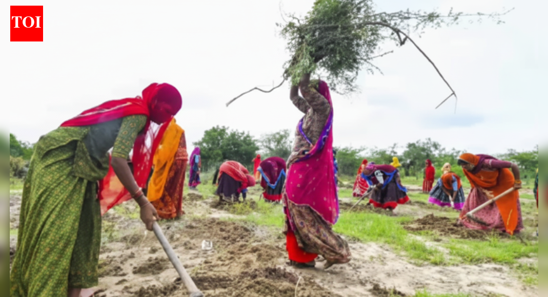 ग्रामीण कल्याण का नया तर्क:  ट्रिलियन की अर्थव्यवस्था के लिए वीबी-जी रैम जी क्यों सार्थक है | भारत समाचार