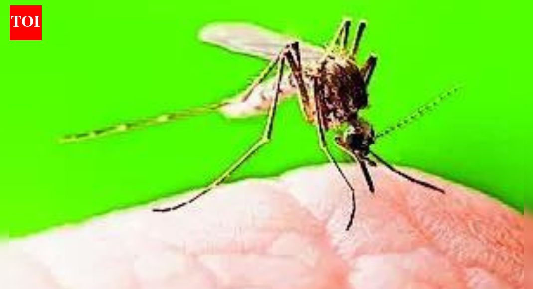 ‘संस्थागत मजबूती का परिणाम’: भारत में तपेदिक, मलेरिया और मातृ मृत्यु में भारी गिरावट देखी गई; नड्डा ने लोकप्रिय भागीदारी का स्वागत किया | भारत समाचार