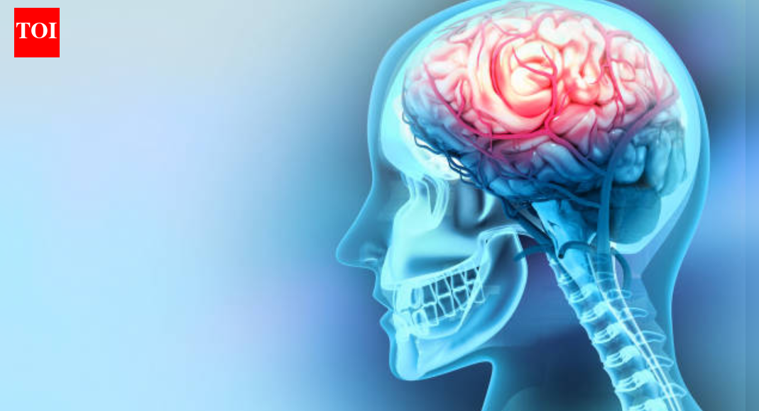 एन्यूरिज्म: मस्तिष्क में कुछ रक्त वाहिकाएं बिना किसी चेतावनी के कमजोर क्यों हो जाती हैं?