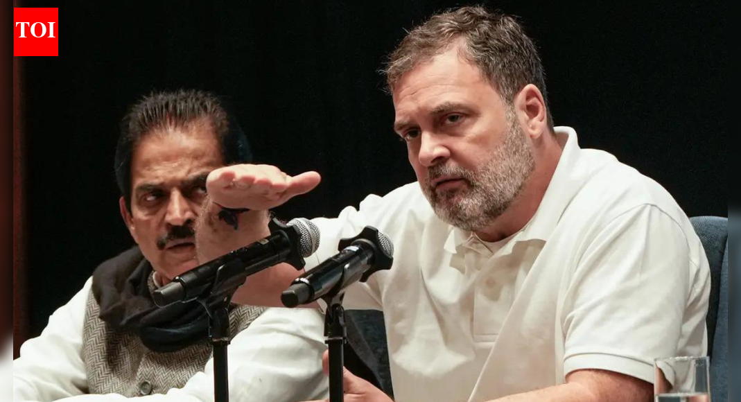 राहुल भारत विरोधी वैश्विक ताकतों के स्थायी प्रवक्ता: बीजेपी | भारत समाचार