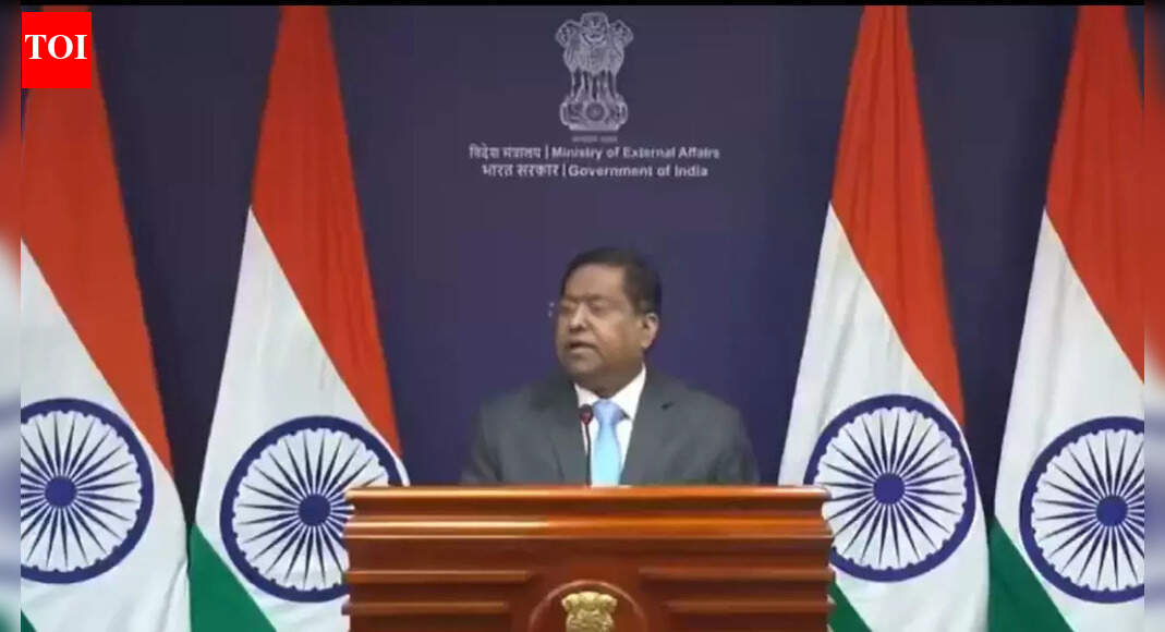 ‘एक अमेरिकी को नौकरी पर रखें’: एमएजीए ने देरी का ठप्पा लगाकर फंसे एच-1बी वीजा धारकों का मजाक उड़ाया