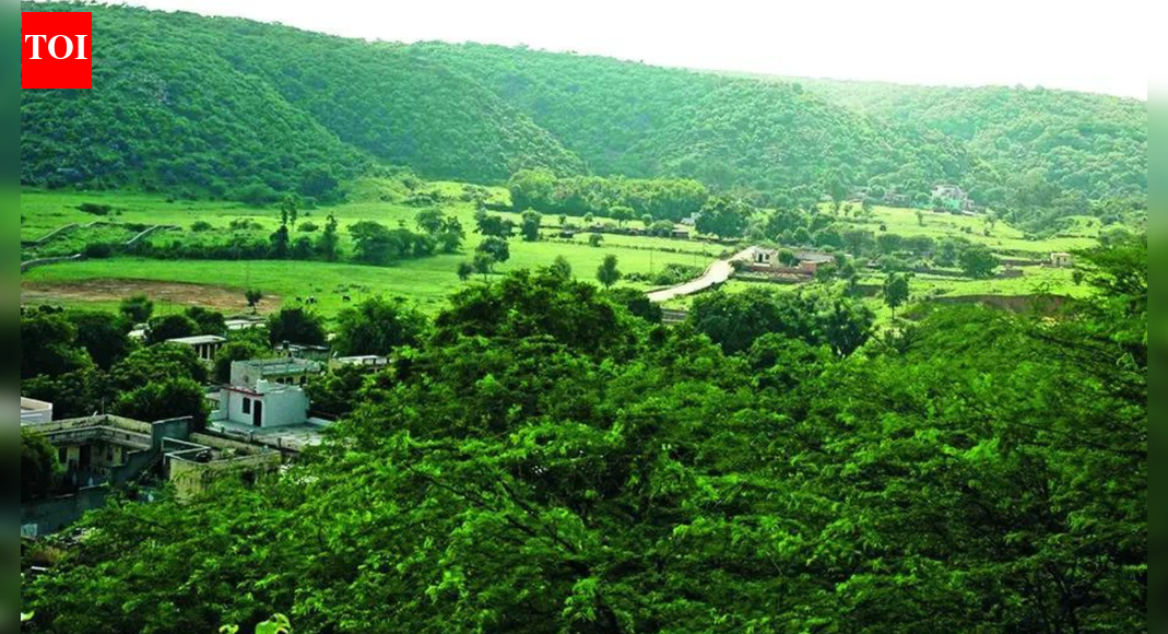 राजस्थान: राज्य में अरावली में 1,230 से अधिक खदान पट्टे हैं; अकेले राजसमंद जिले में 540 से अधिक | भारत समाचार