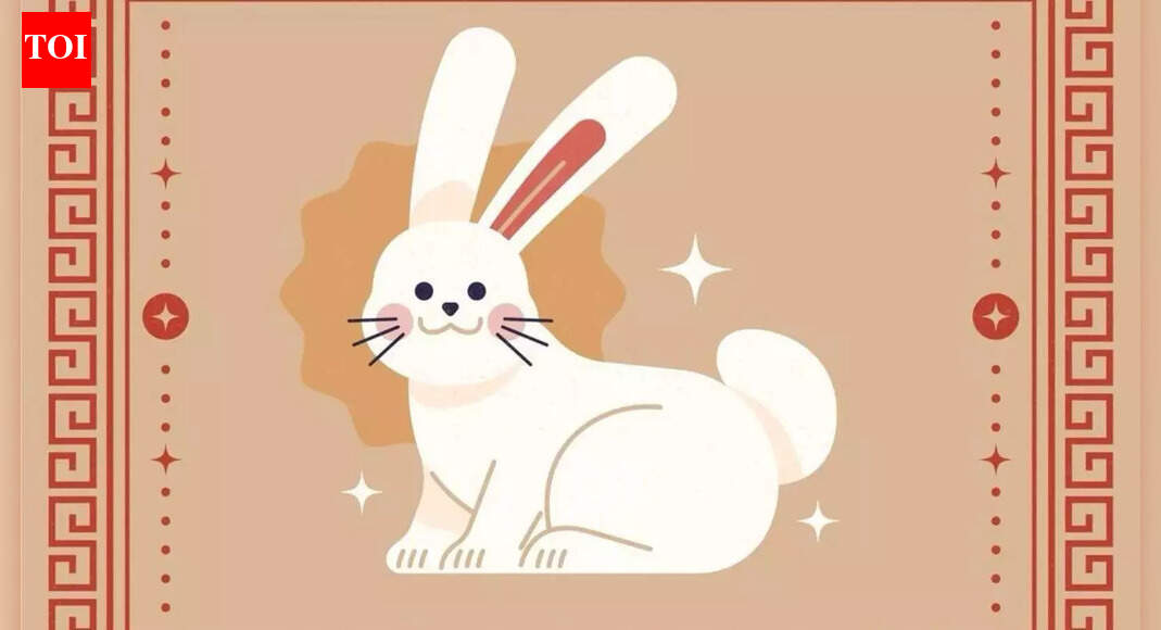 खरगोश चीनी राशि 2026 राशिफल: जो उत्तर आप सबसे पहले चाहते हैं वह आपके आराम को तोड़ सकता है