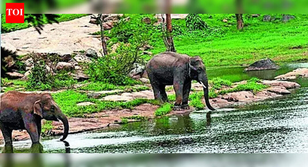 बेंगलुरु में अरावली जैसा विवाद: SC पैनल का दौरा आज | भारत समाचार