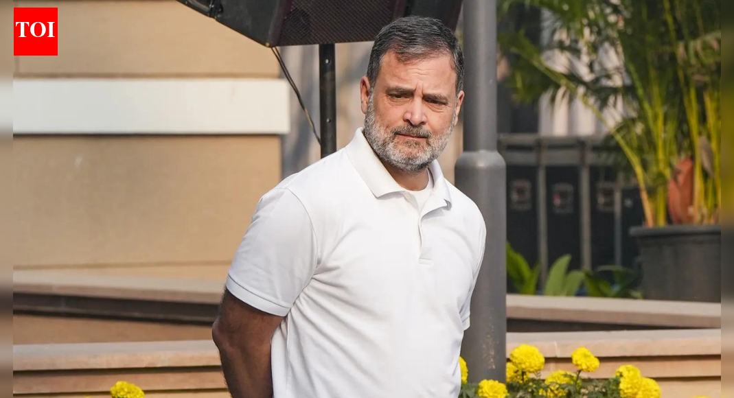 ‘रियलिटी चेक’: बीजेपी ने राहुल गांधी की आलोचना के लिए कर्नाटक सरकार के सर्वेक्षण का हवाला दिया; ‘वोटिंग चोरी’ के आरोप का उपहास | भारत समाचार