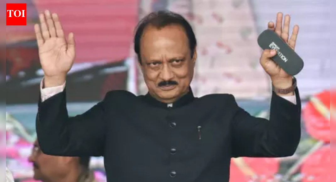 ‘मुझ पर आरोप लगाए गए’: अजित पवार ने ‘आपराधिक’ एनसीपी उम्मीदवारों का बचाव किया; अपराध बोध के विरुद्ध चेतावनी देता है | भारत समाचार