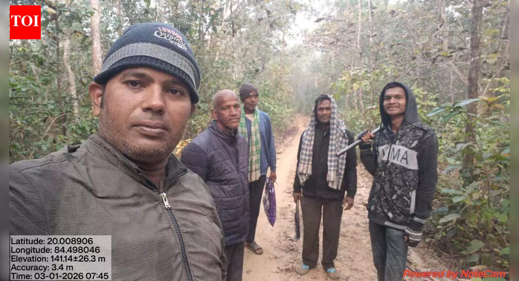 बाघ गणना और शाकाहारी शिकार आधार देश का पहला चरण बेरहामपुर में शुरू हुआ | भुंसवार समाचार