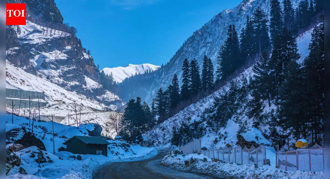 हेरोइन के दुरुपयोग के बढ़ते मामलों को रोकने के लिए जम्मू-कश्मीर सरकार ने मस्जिद के इमामों से समझौता किया | भारत समाचार