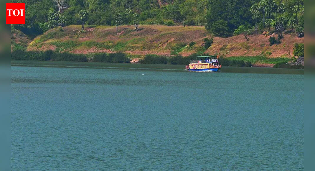 आंध्र प्रदेश ने गोदावरी से पानी चुराने की कोशिश की: तेलंगाना | भारत समाचार