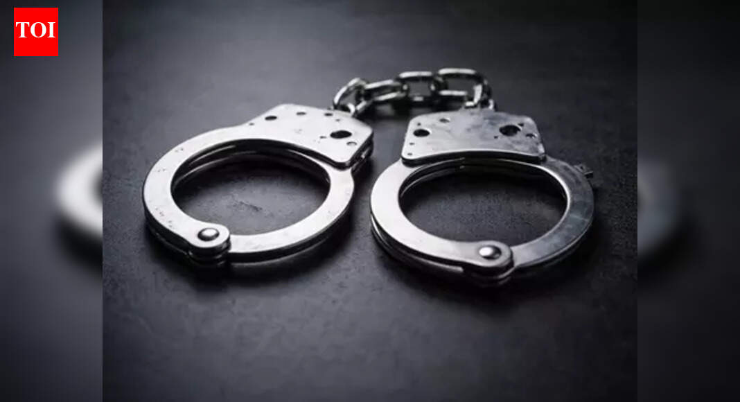 मनोहर अंतर्राष्ट्रीय हवाई अड्डे पर 3 करोड़ रुपये मूल्य की हाइड्रोपोनिक भांग जब्त | गोवा समाचार