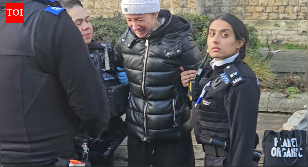 ‘यह हास्यास्पद है’: व्यस्त हाई स्ट्रीट पर कबूतरों को खाना खिलाने के आरोप में लंदन की महिला को पुलिस ने गिरफ्तार किया |