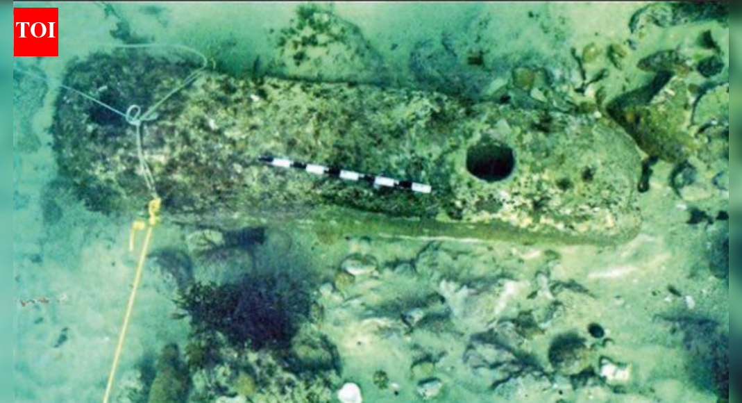 एएसआई कृष्ण की प्राचीन द्वारका का पता लगाने के लिए गहरी खुदाई की तैयारी कर रहा है | भारत समाचार