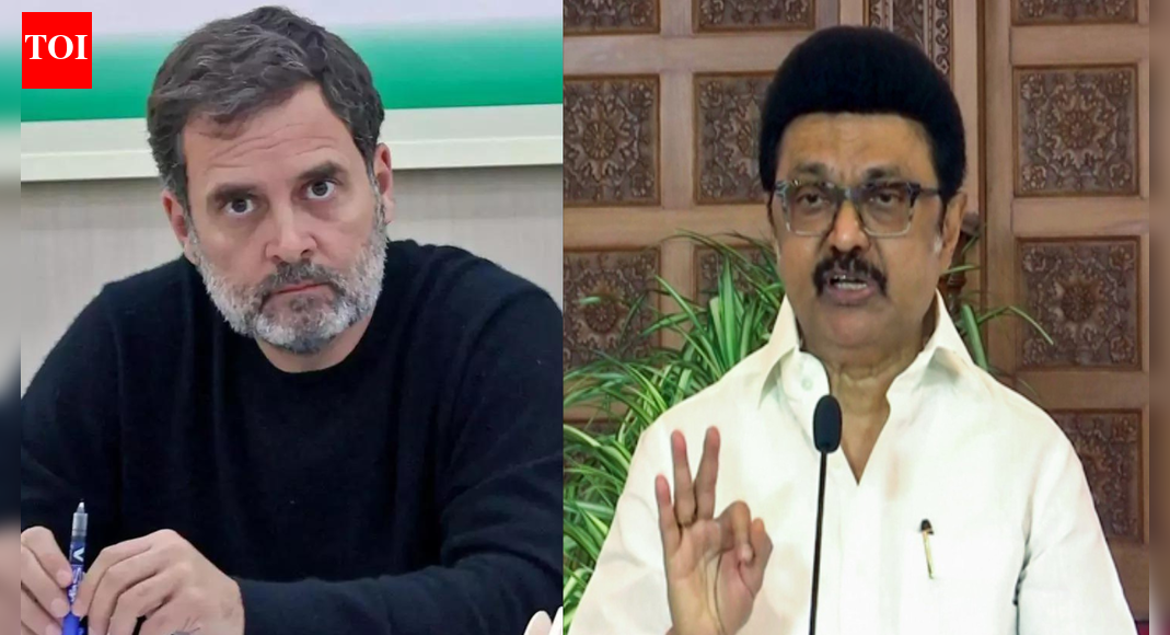 तमिलनाडु में राहुल-स्टालिन नहीं? DMK ने कांग्रेस के ‘सत्ता-साझाकरण’ प्रस्ताव को खारिज कर दिया; स्टैंड पर सीएम डटे | भारत समाचार