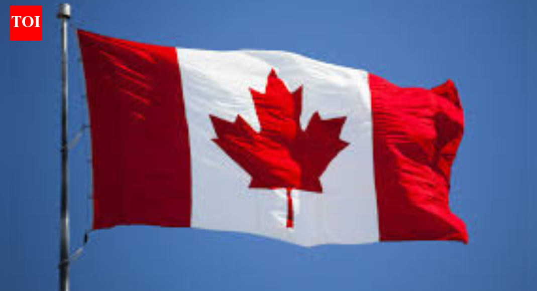 ‘मेरे पास पर्याप्त कौशल है’: कनाडा में नौकरी से निकाले गए व्यक्ति ने टिकटॉक पर ‘भारत लौट आओ’ तंज का जवाब दिया