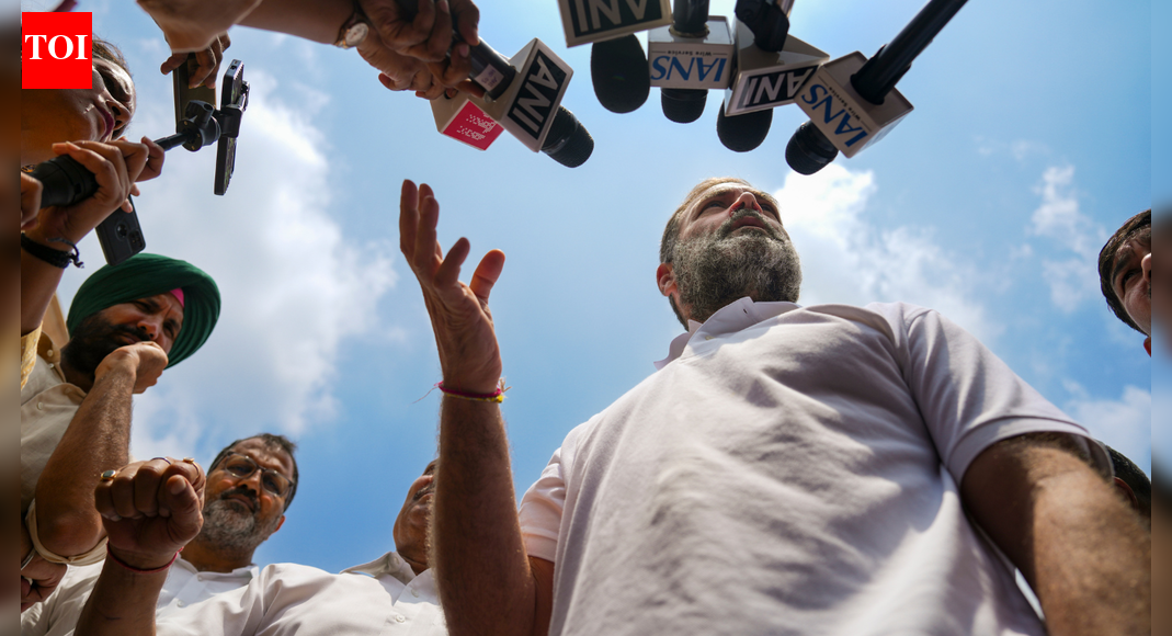 अमिट स्याही विवाद: राहुल गांधी ने चुनाव आयोग पर मतदाताओं को गुमराह करने का आरोप लगाया: इसका क्या मतलब है? | भारत समाचार