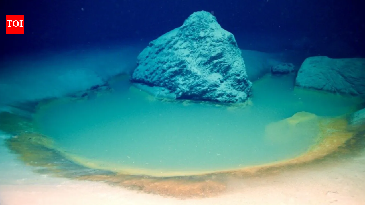 समुद्र की ‘मौत की झील’ क्या है? क्या होता है जब समुद्री जीवन सबसे घातक पानी के नीचे के स्थानों में से एक में प्रवेश करता है?